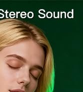 ear buds translators