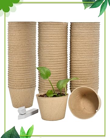 https://m.media-amazon.com/images/S/aplus-media-library-service-media/a724bdb3-fd3e-46a9-a887-0beca6bd7d16.__CR0,21,1508,1887_PT0_SX362_V1___.jpg