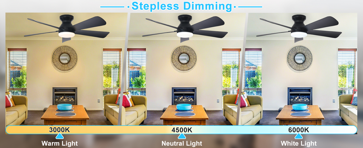 ceiling fan with light