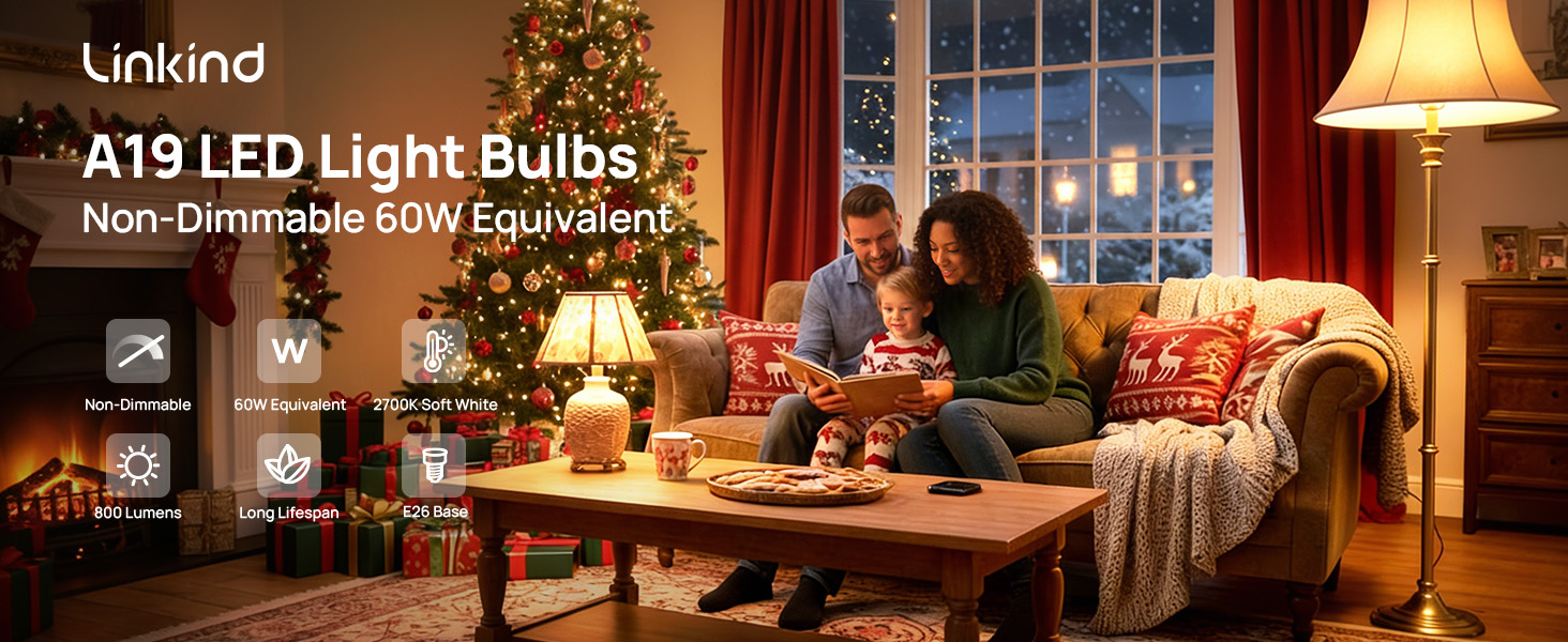 1 A19 non dimmable 60W
