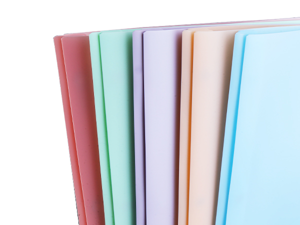 Two Pocket Folder with Prongs