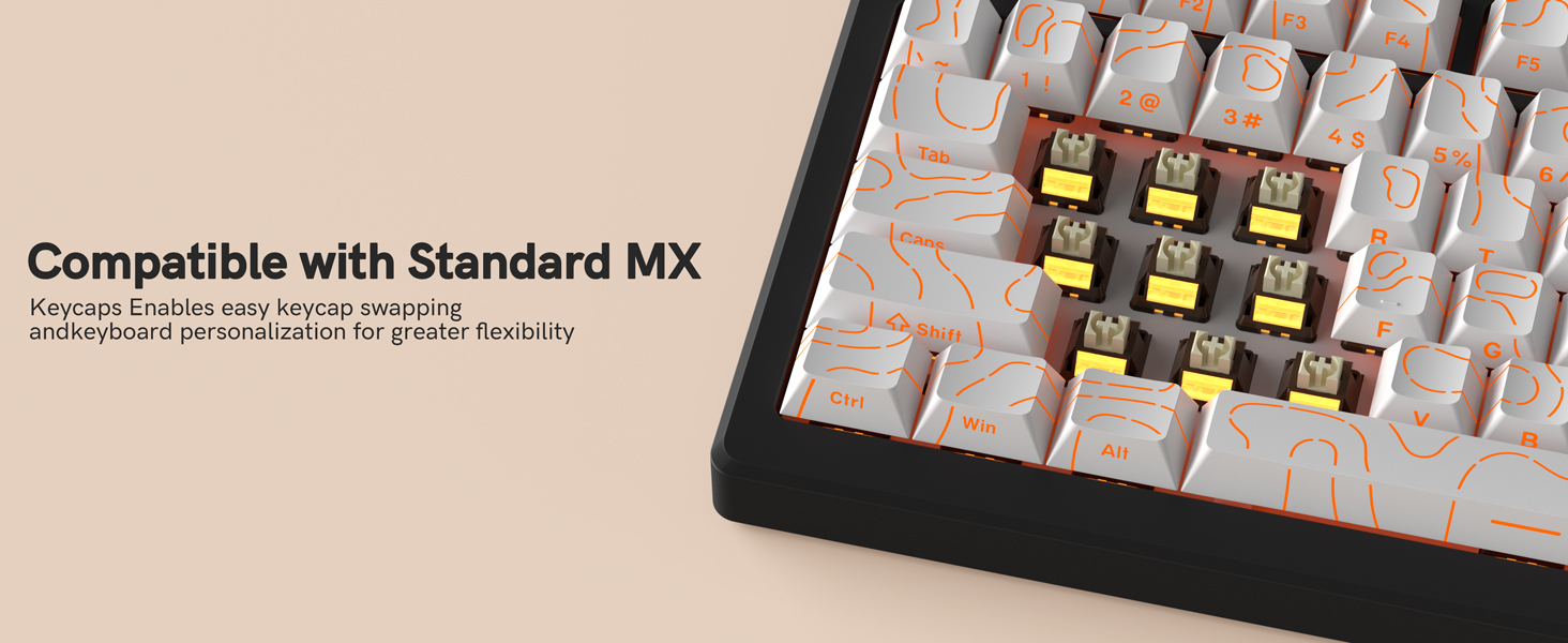 Engineered for Excellence