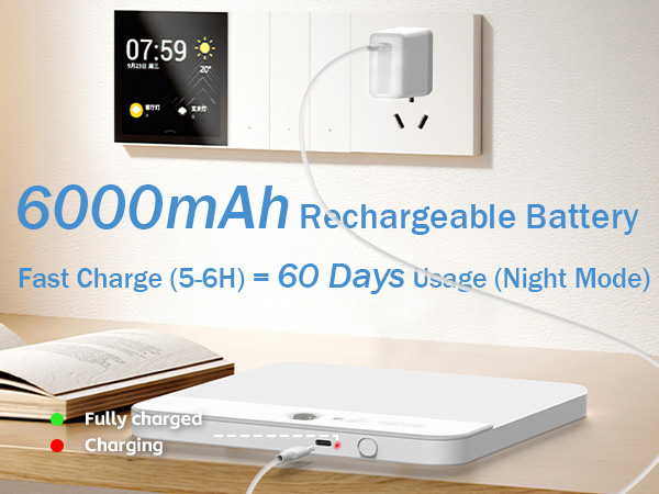 6000mAh Rechargeable Battery