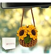 SGIBYN Crochet Hanging Plant for Car,Car Decorations Interior,Plant Aesthetic Car Accessories for...