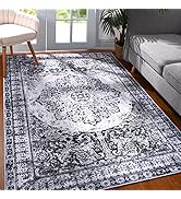 YJ.GWL Area Rug 4x6, Washable Bedroom Rug, Soft Accent Rugs for Living Room Entryway Dining Room,...