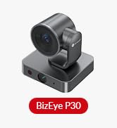 BizEye P30