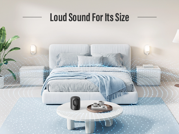 portable bluetooth speaker
