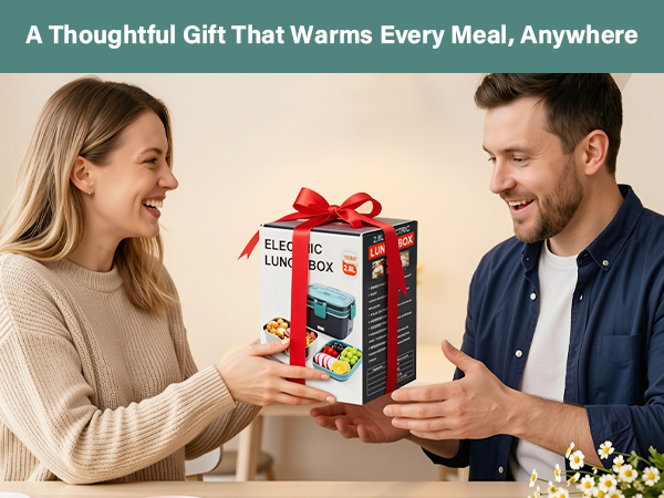 lunch box heater portable