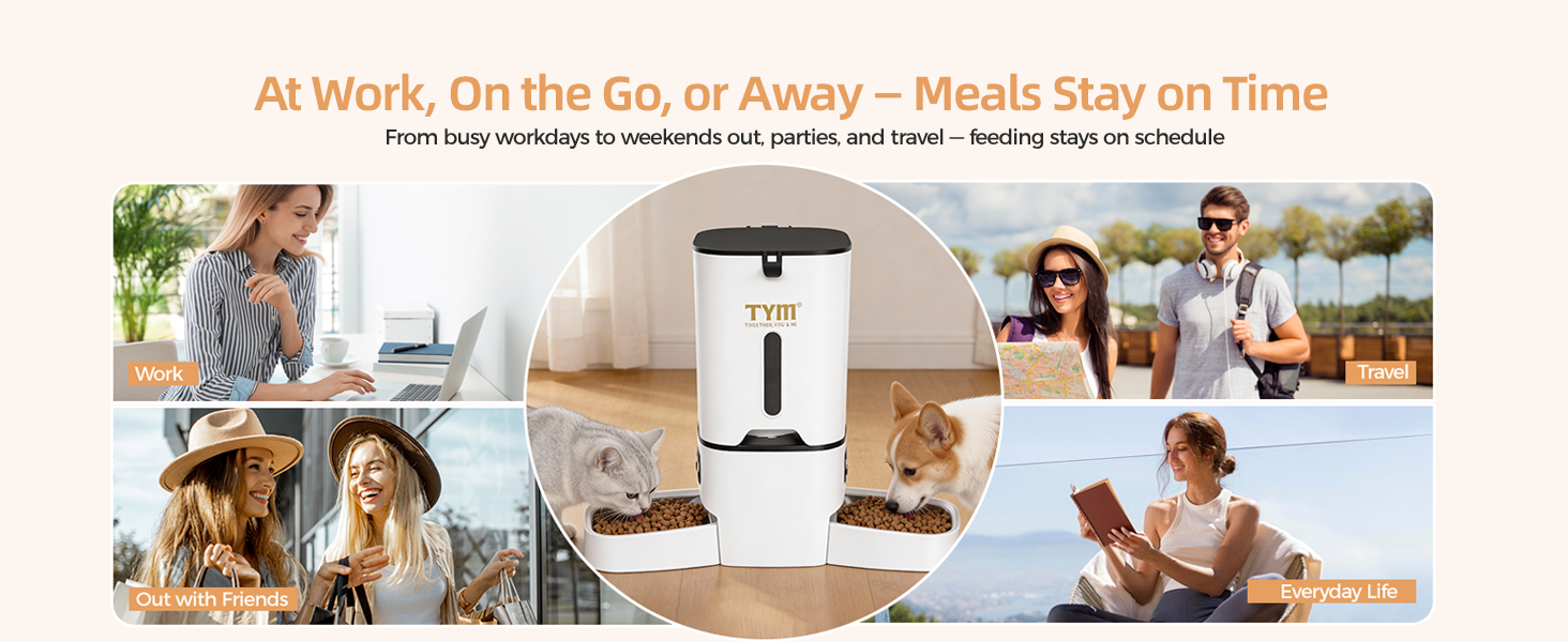 automatic cat feeder two cats