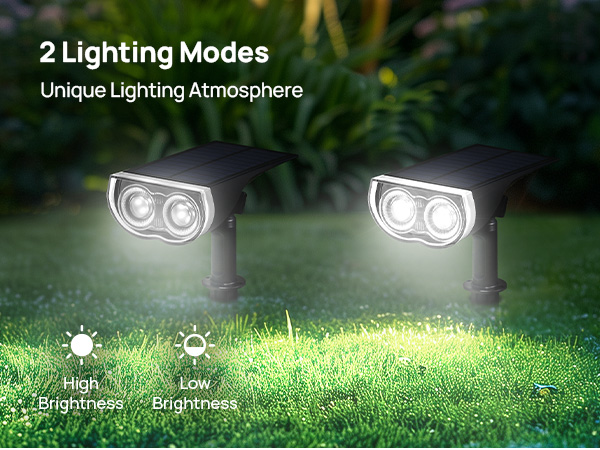 Solar Landscape Lights