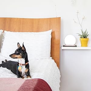 Compact Round Design