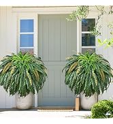 MARTINE MALL 2PCS 48''/133 Leaves Fake Ferns Artificial Ferns for Outdoors Look Real, Large Faux ...