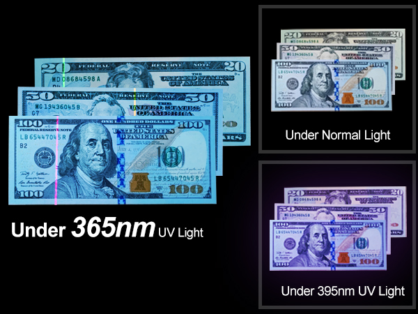 Ultraviolet flashlight for identifying counterfeit money