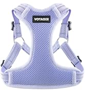 Best Pet Supplies Voyager Adjustable Step-in Flex Breathable Mesh Dog Harness for Small Medium La...