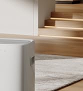 dehumidifier for basement