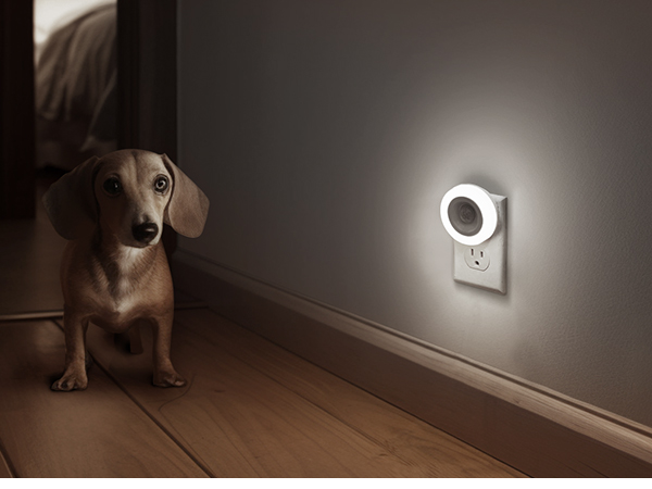 Pet Guiding Night Light