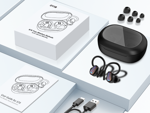Ai Translation Earbuds