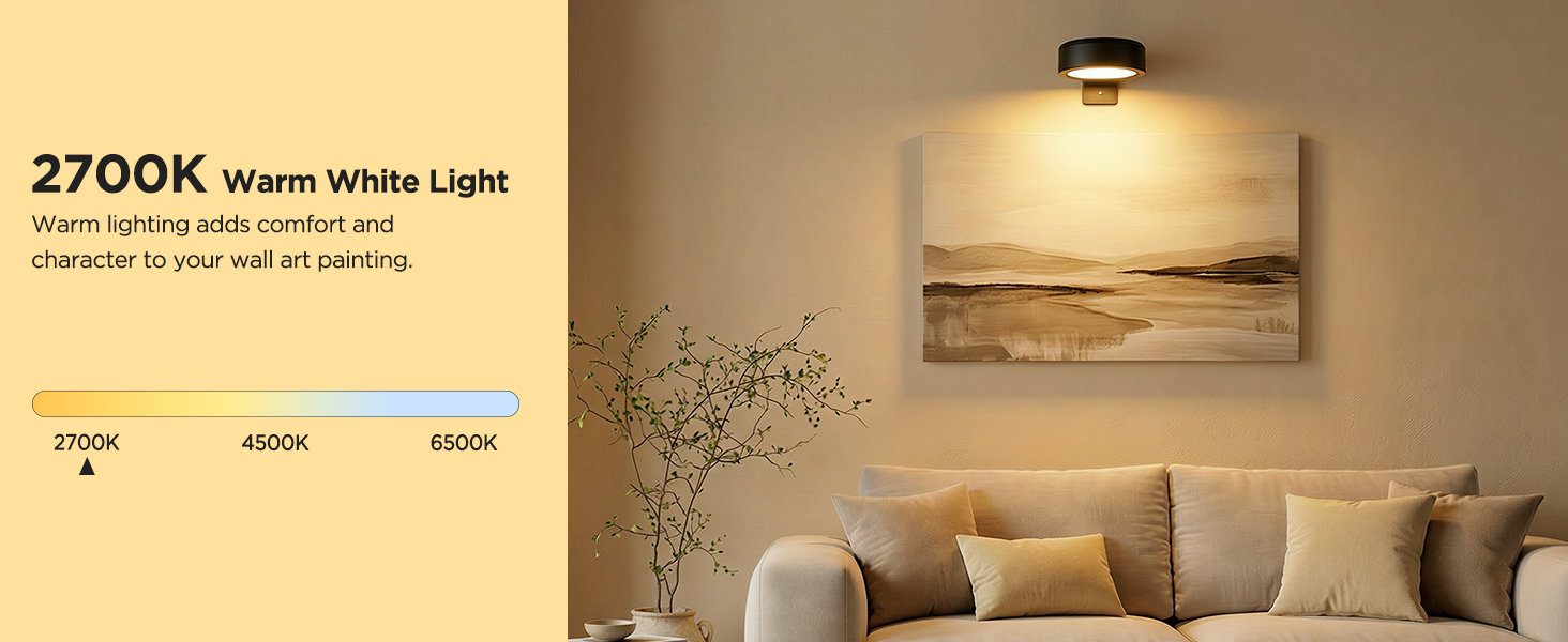 picture light