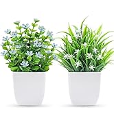 Der Rose 2 Pack Fake Plants Small, Mini Artificial Plants with Flowers for Home Office Bedroom De...