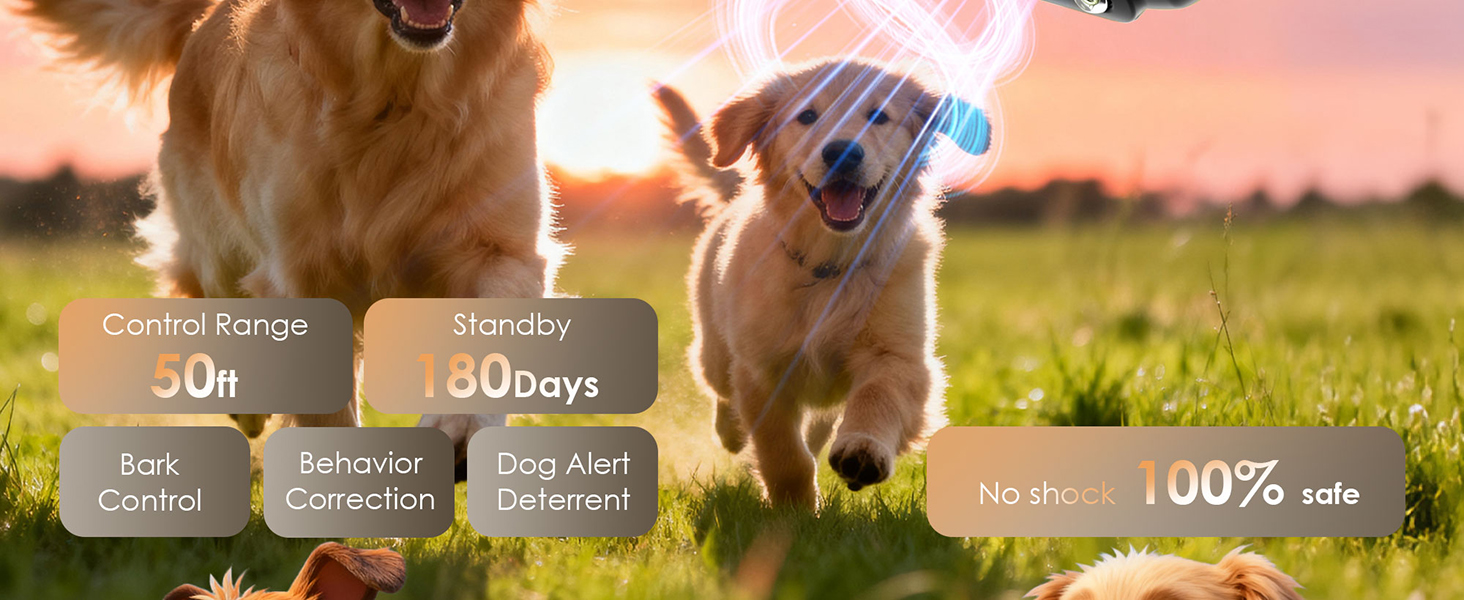 dog bark deterrent devices