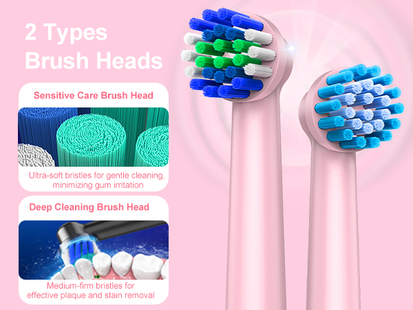 Electric Toothbrush for Adults