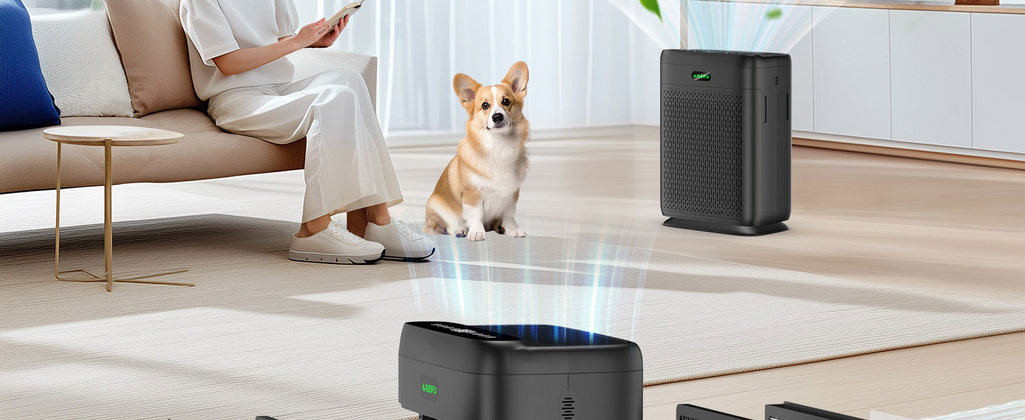 air purifier for living room