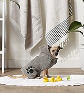 Little dog wrapped in a pet towel