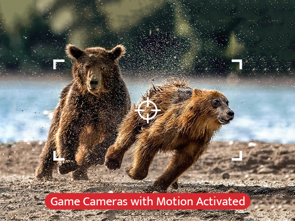 fast 0.3s trigger speed of TC30 trail camera