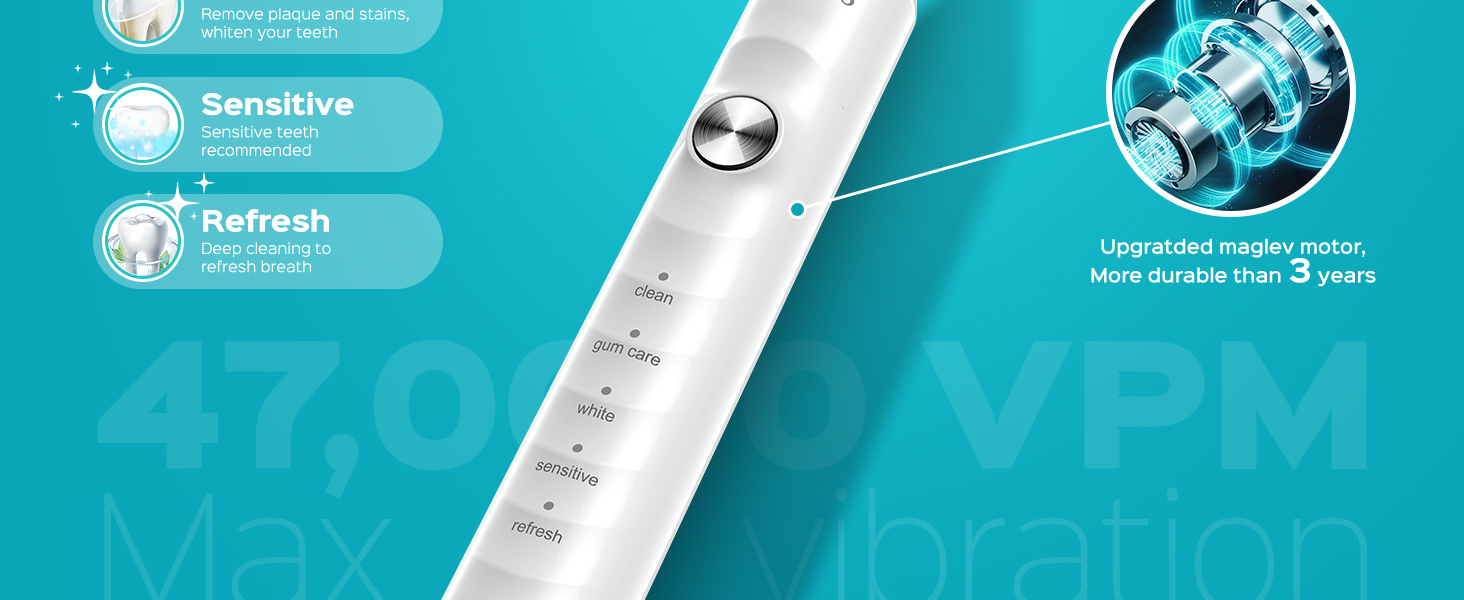 Electric Sonic Ultrasonic Toothbrush Adults Kids Cepillo de dientes ultrasónico eléctrico sónico