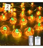 2 Pack 30LED Pumpkin Fall Decorations String Lights Battery Operated Remote | 20FT, 3D Pumpkin Fa...