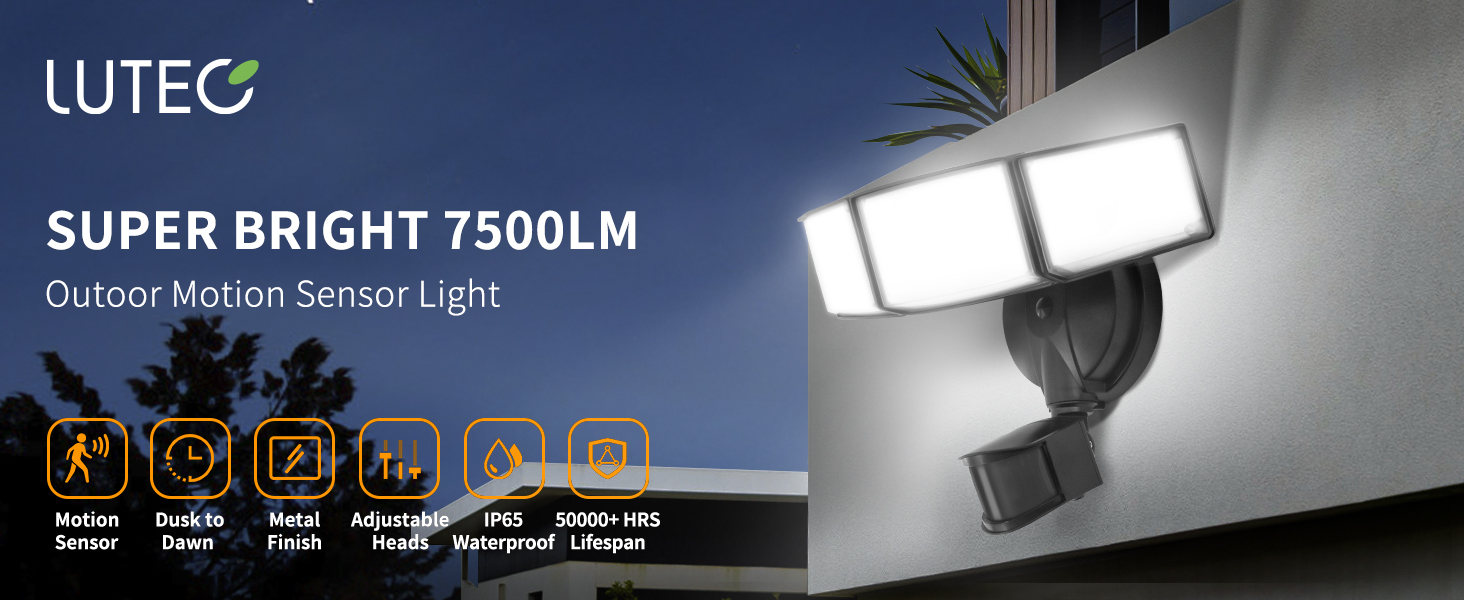 Outdoor Motion Sensor Light