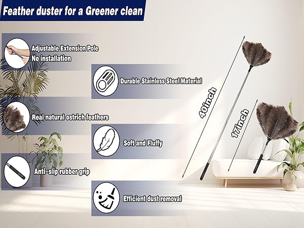 feathers duster