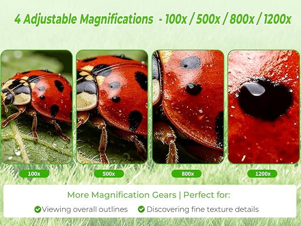 digital microscope for kids