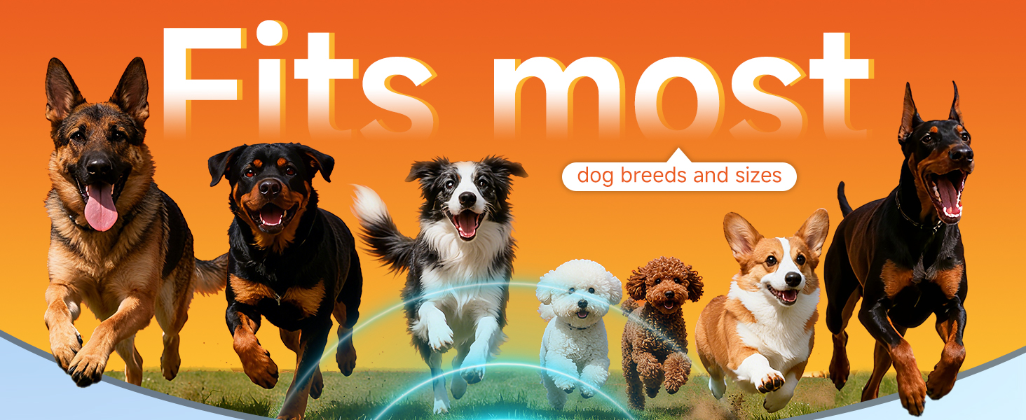 Dog Bark Deterrent Device