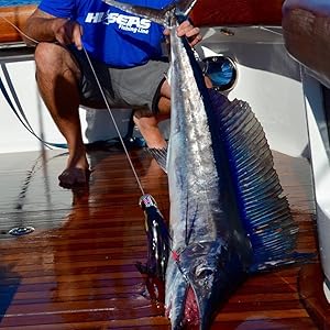 marlin fishing