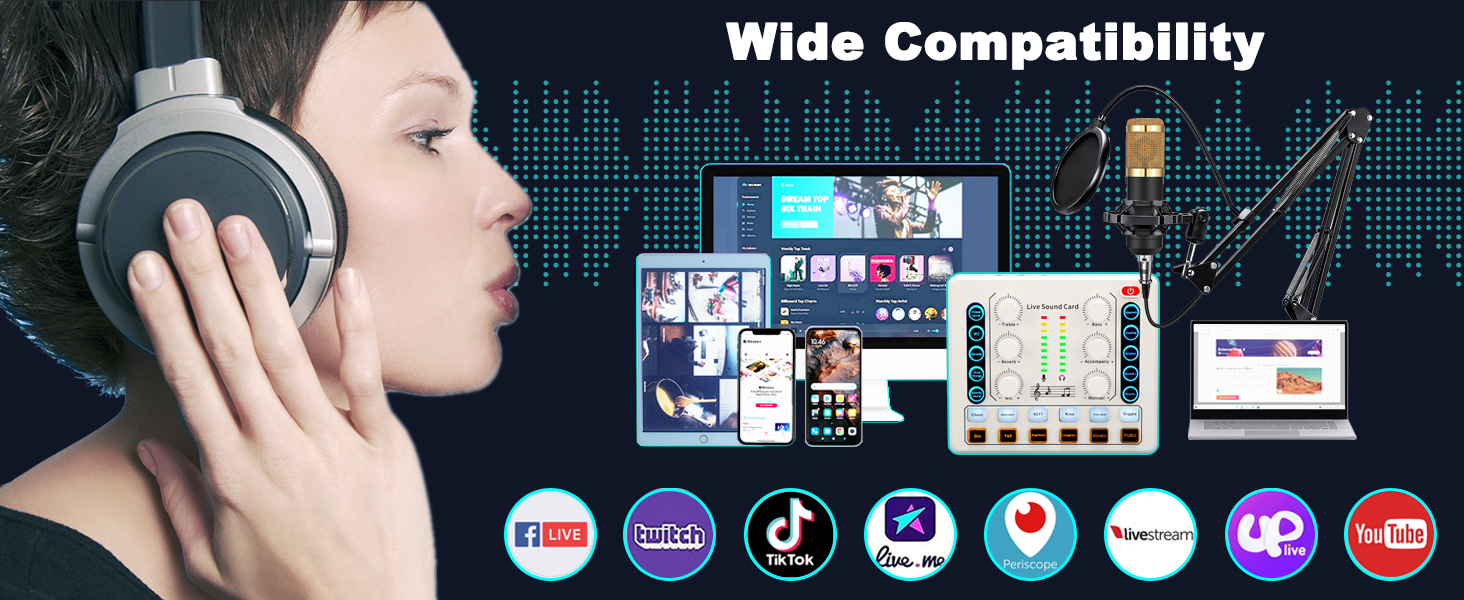 audio interface microphone arm Studio Microphones music studio recording equipment