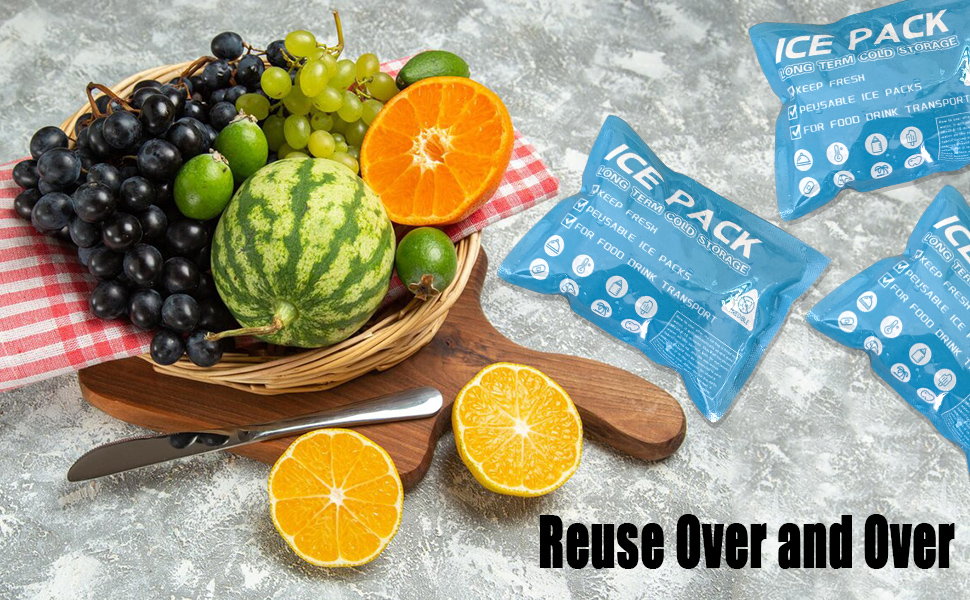 ice packs for cooler