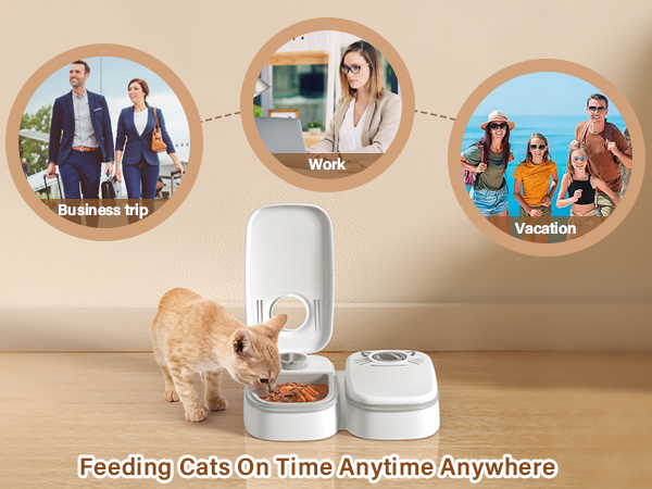 automatic cat feeder