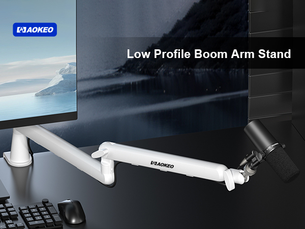 microphone arm