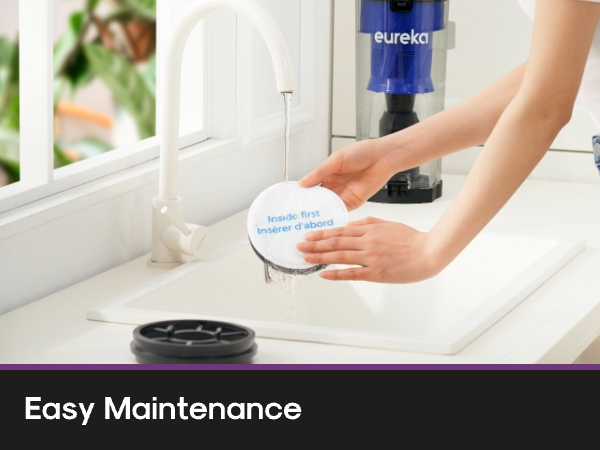 Easy Maintenance