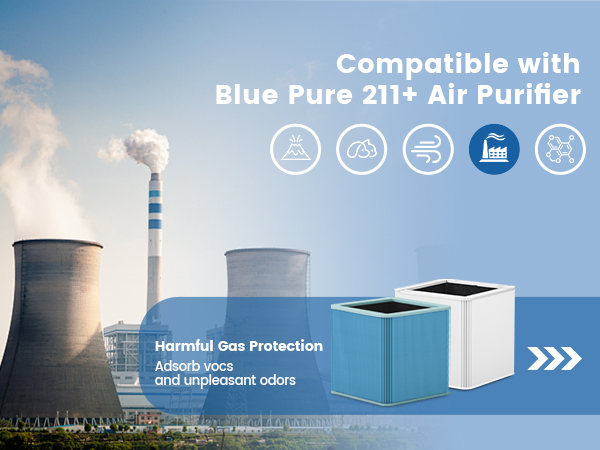 211+ Replacement Filter