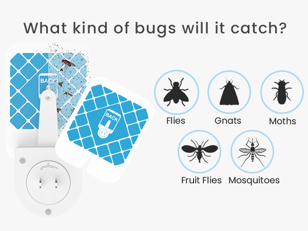 flying insect trap