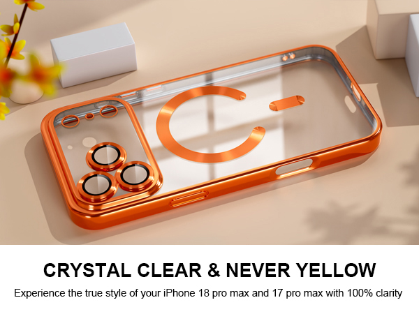 iPhone 17 pro max case