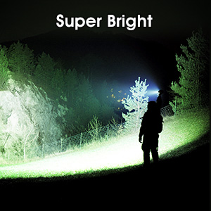 flashlight for emergnecy