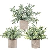 Der Rose 3 Pack Mini Potted Fake Plants Artificial Plastic Eucalyptus Plants Topiaries for Home O...