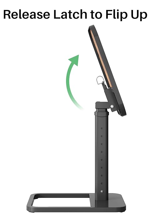 Secure Flip with Lock