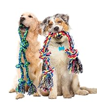 https://m.media-amazon.com/images/S/aplus-media-library-service-media/50d55305-038f-44ec-a7e9-d04d17dc7d06.__CR0,0,417,469_PT0_SX200_V1___.jpg