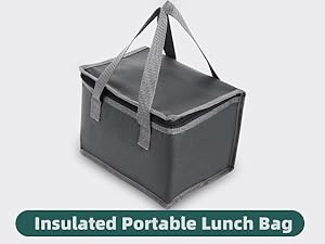 electric lunch box