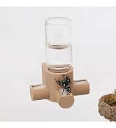 Daerky Jumping Spider Water Dispenser, Magnetic Hanging Feeder,Suitable for Jumping Spiders,Taran...
