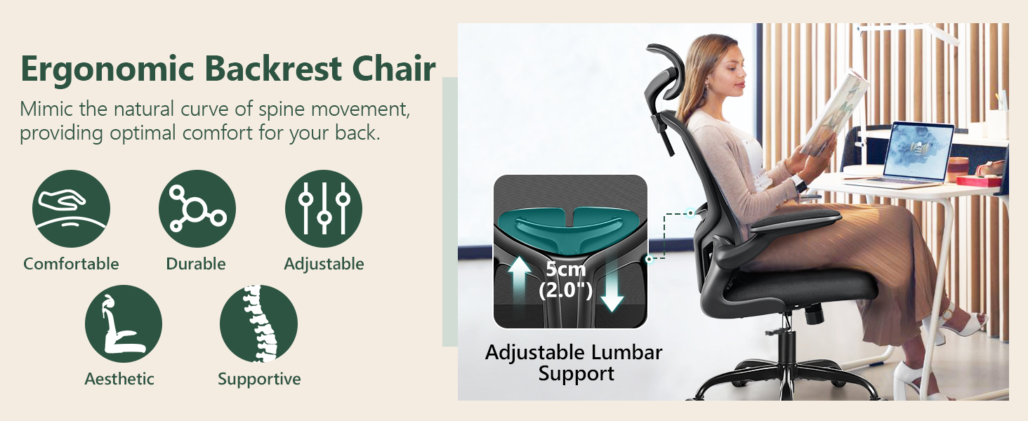 Ergonomic Backrest Chair